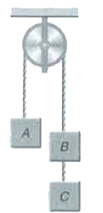 2 किग्रा भार के तीन पिण्ड A,B व C एक स्थिर घिरनी से होकर जाने वाली डोरी से बँधे है ।  पिण्ड B और C को जोड़ने वाली डोरी में तनाव होगा
