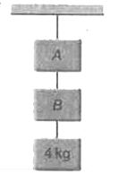 एक 4 किग्रा द्रव्यमान के गुटके के दो हल्की स्प्रिंग तुलाओ Aव B से लटकाया गया है, तो Aव B के पाठयांक होंगे