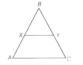 सलग्न   चित्र  में  रेखाखण्ड XY , DeltaABC  की भुजा AC  के समांतर है , जो DeltaABC  को दो बराबर  क्षेत्रफल वाले भागों  में  विभाजित करती है  , तो  AX  और AB का अनुपात होगा