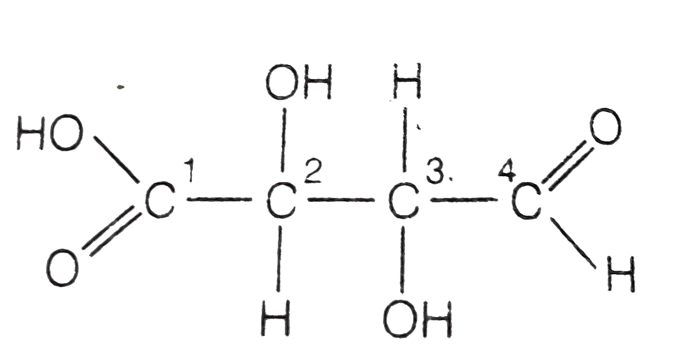 Which of the carbon atoms present in the molecule given below are asymmetric ?