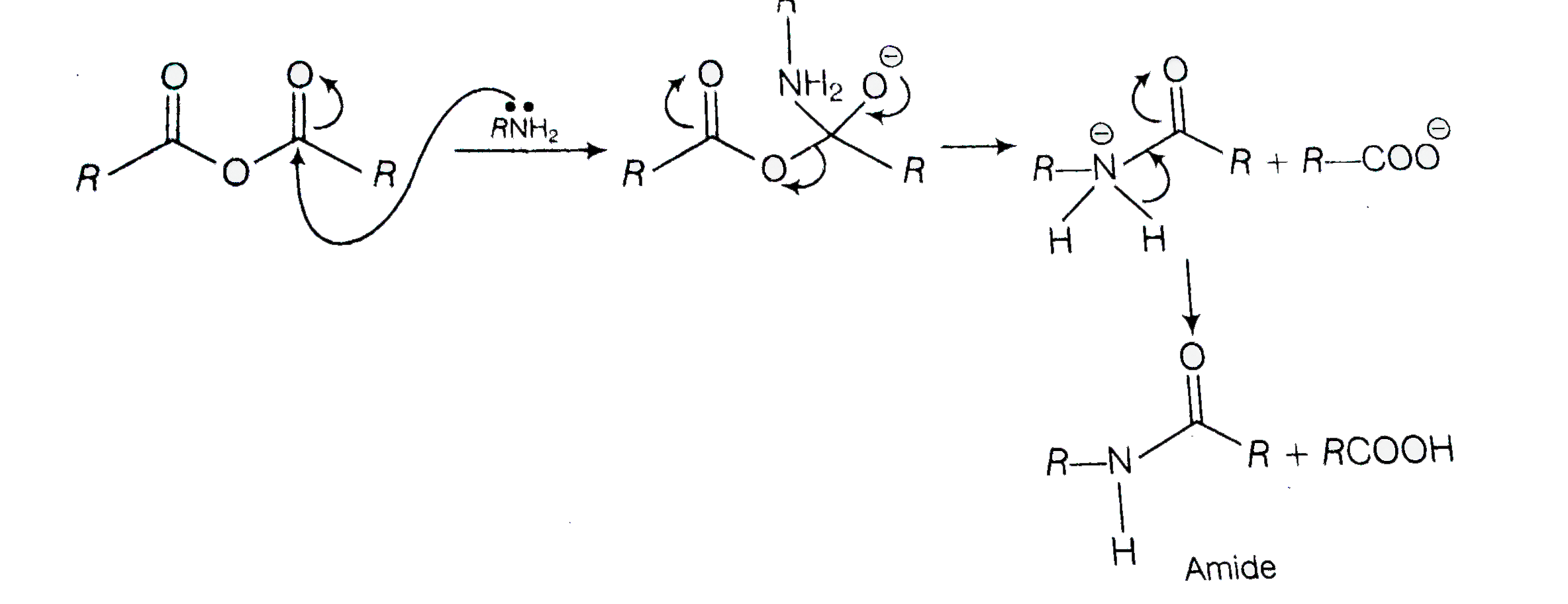 Acid Anhydrides On Reaction With Primary Amine Gives 