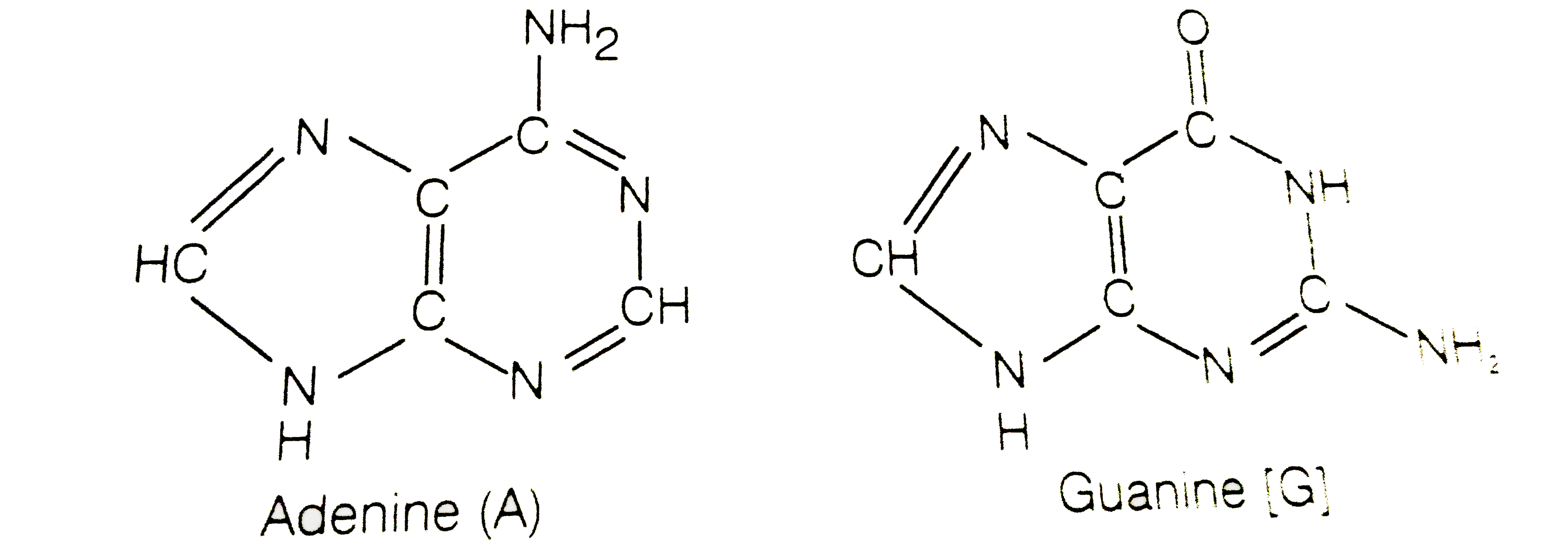 The Chemical Synthesis of Oligonucleotides