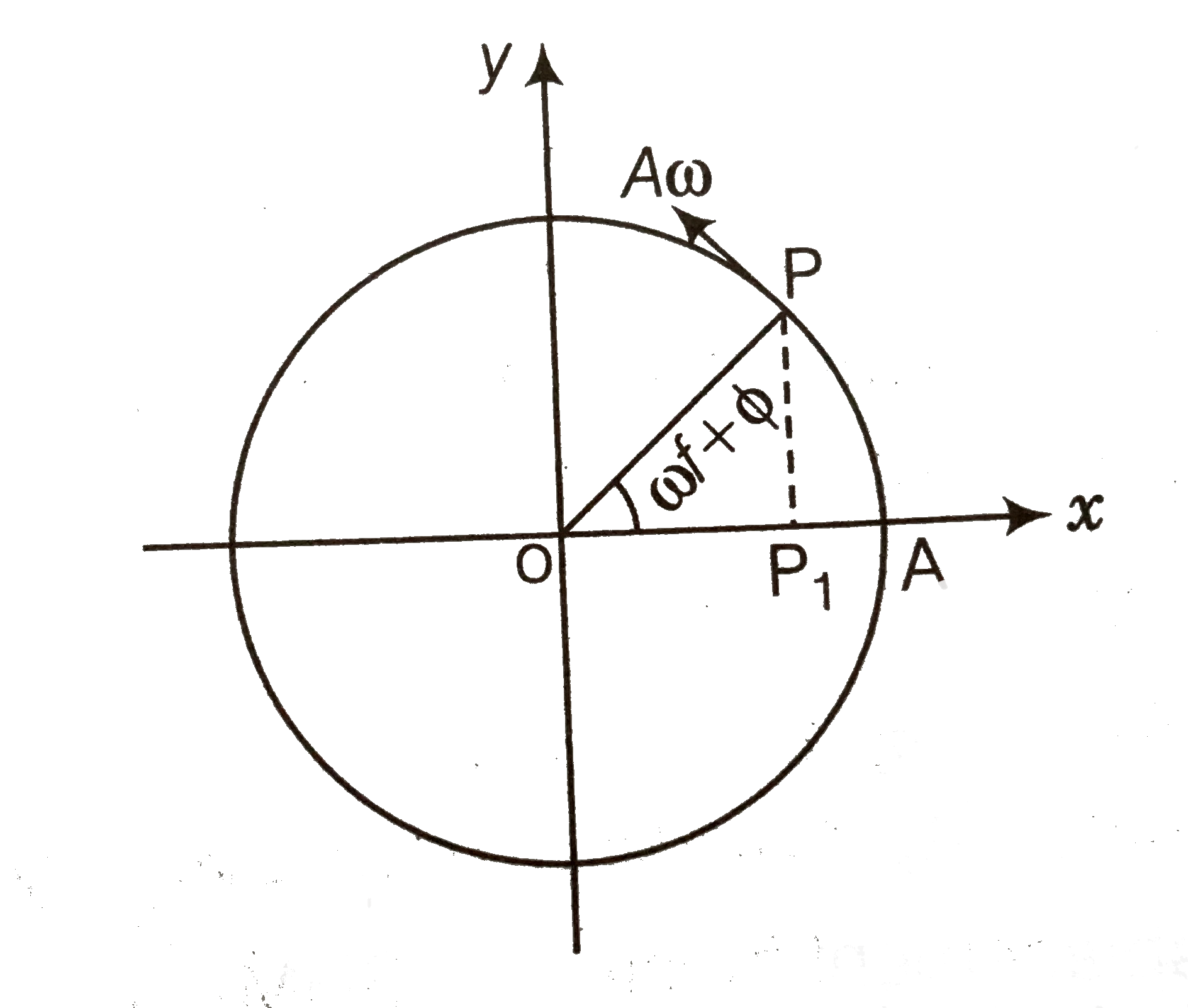 In figure, what be the sign of the velocity of the point P', which is the projection of the velocity of the reference particle P.P is moving in a circle of radius R in anti-clockwise direction.