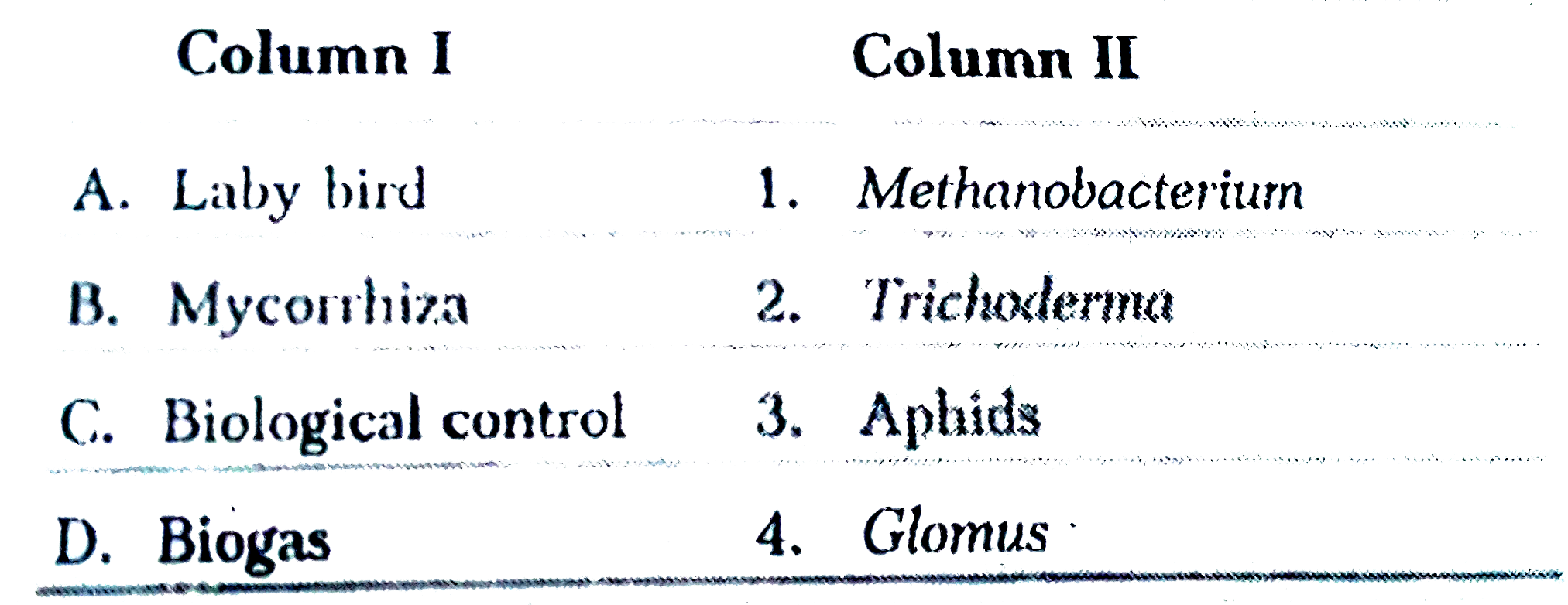 Match the following Columns.