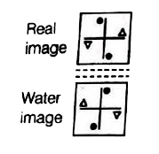 ocr_image