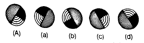 a figure  marked  (A)  is followed  by four  other  figures  (a ),(b)  , (c ) and (d) showing  the possible  water image  of figure  (a) . Choose  the  correct  water  image  of the figure  (A)  out of given  four  alternative