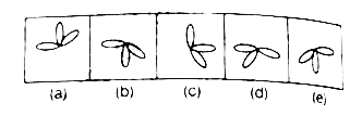 In the problem, out of five/four figures four/three are similar in a certain manner. Choose the figure which is differetn from others.   Q.