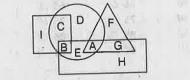 In the following figure, square represents Painters, triangle represents Women, circle represents Accountants and rectangle represents Americans. Which set of letters represents Americans who are not Accountants?