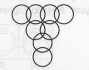 How many circles are there in the figure given below?