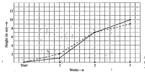 For an experiement in Botany, two different plants, plant A and plant B were grown under similar laboratory conditions. Their heigths were measured at the end of each week for 3 weeks. The results are shown by the following graph.      How high was Plant A after (i) 2 weeks (ii) 3 weeks?