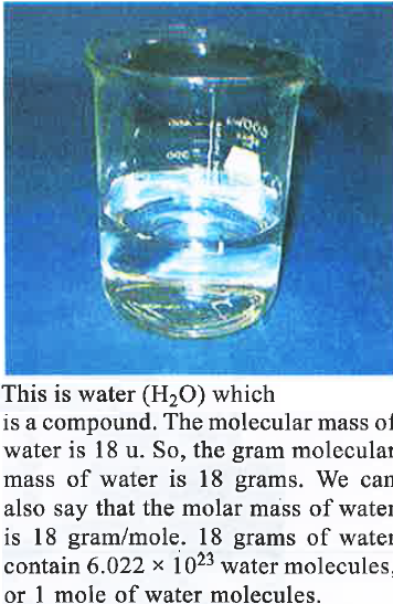 ocr_image