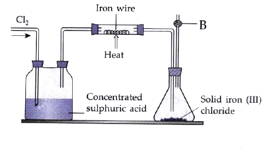 The given diagram is to prepare Iron(III) chloride in the laboratory:   (i) What is substance B?   (ii) What is the purpose of B?   (iii) Why is iron(III) chloride to be stored in a closed container?   (iv) Write the equation for the reaction between iron and chlorine.