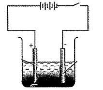 Purification of copper is depicted here: What is seen below the positive electrode?