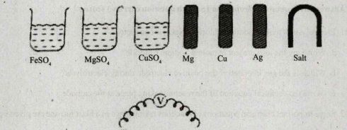 Some materials are given below:    From the given materials, choose the appropriate ones to construct a galvanic cell and draw the diagram of the cell.  (Order of reactivity: Mg>Fe>Cu>Ag)