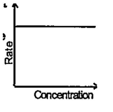 Following graph is a plot . of the rate of reaction VS concentration of the reactant What is the order of the reaction?