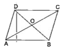 दी गई आकृति में, ABCD एक समांतर चतुर्भुज है जिसके विकप AC और BD बिंदु O पर प्रतिच्छेद करते हैं। यदि ABCD क क्षेत्रफल 52 cm^(2)  है, तो ar(Delta AOB) = ?