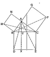 संलग्न आकृति में, ABC एक समकोण त्रिभुज है जिसका कोण A समकोण त्रिभुज है जिसका कोण A समकोण है। BCED, ACFG और ABMN क्रमशः भुजाओं BC, CA और AB पर बने वर्ग हैं। रेखाखंड AX bot DE भुजा BC से बिंदु Y पर मिलता है। दर्शाइए कि      Delta MBC ~~Delta ABD,