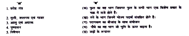 कॉलम 'अ' में दिए गए शब्दों का मिलान कॉलम 'ब' में दिए गए उनके सही अर्थों से करें।