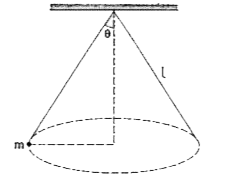 चित्र. 2.4 में प्रदर्शित शंक्वाकार लोलक (conical pendulum) के गोलक (bob) का द्रव्यमान m है तथा अवितान्य (inextensible) हलके धागे की लंबाई । है। गोलक क्षैतिज तल में वृत्तीय पथ परं एकसमान चाल से गतिशील है तथा ऊर्ध्वाधर से धागे का झुकाव कोण 0 है। यदि गोलक का परिक्रमण-काल '' तथा धागे में तनाव T हो, तो