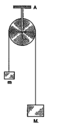 द्रव्यमान M तथा m  के दो ब्लॉक (M gt m) किसी आदर्श डोरी के सिरों से बँधे है तथा डोरी एक चिकनी एवं हलकी घिरनी से गुजरती है (चित्र 4.2)