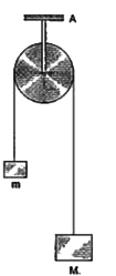 द्रव्यमान M तथा m  के दो ब्लॉक (M gt m) किसी आदर्श डोरी के सिरों से बँधे है तथा डोरी एक चिकनी एवं हलकी घिरनी से गुजरती है (चित्र 4.2)