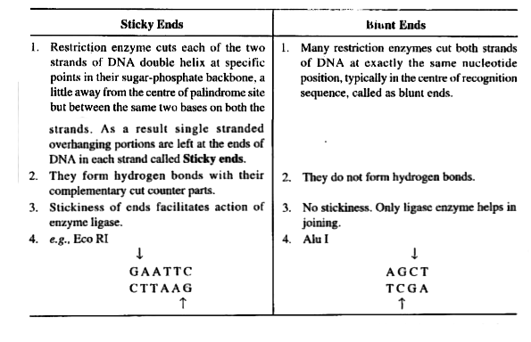 distinguish-between-blunt-ends-and-sticky-ends-produced-by-restriction