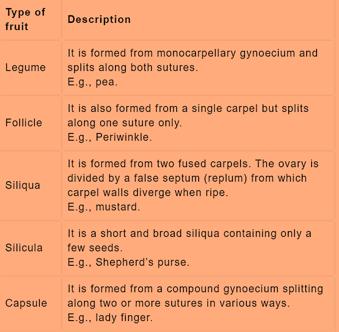 ocr_image