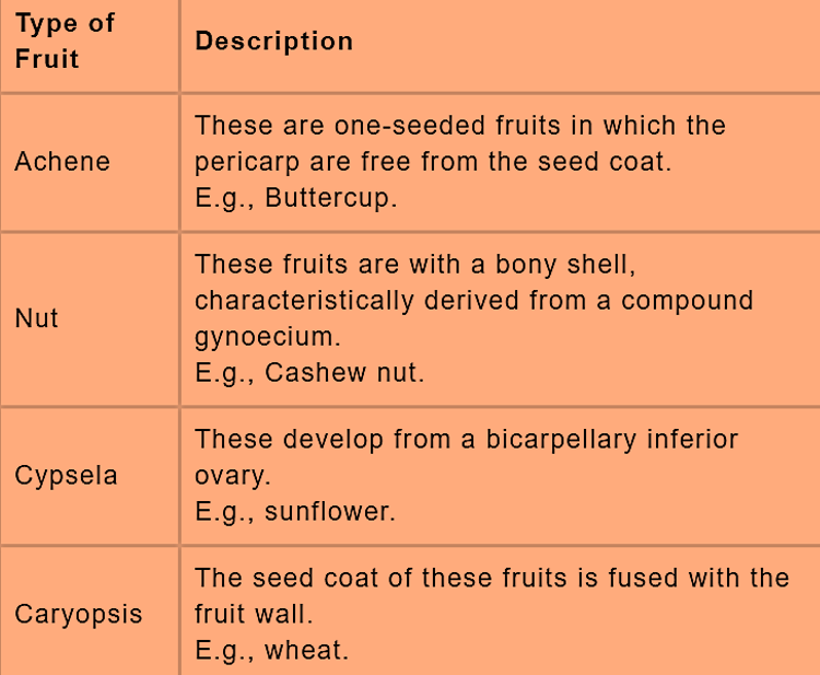 ocr_image