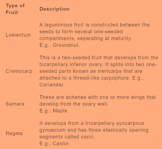 ocr_image