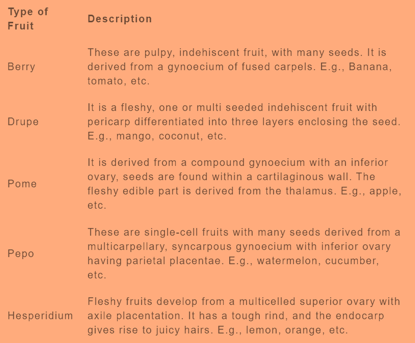 ocr_image