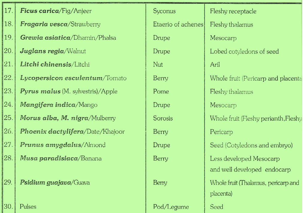 ocr_image