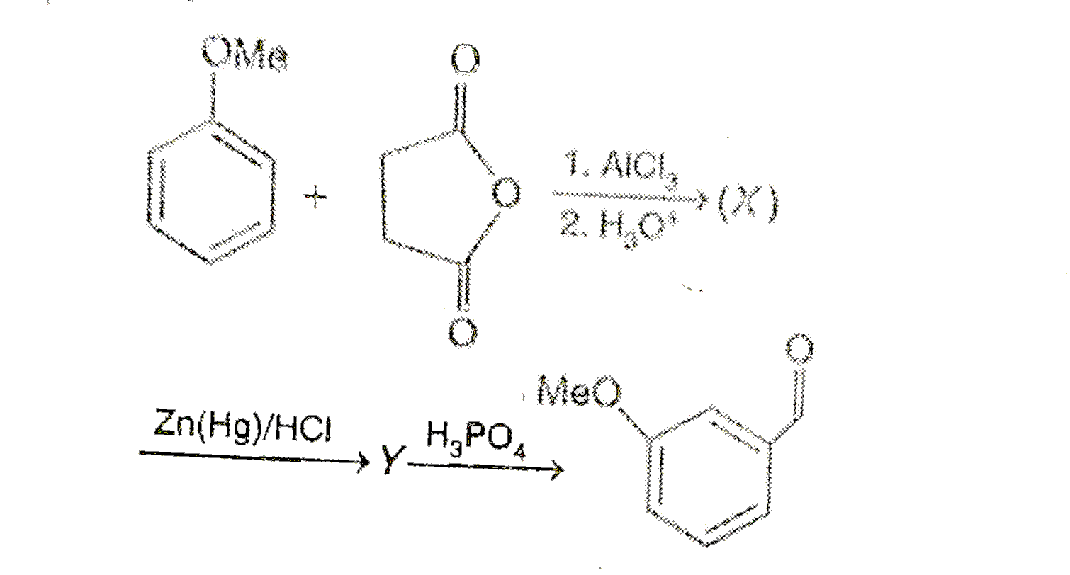 Identify the product (Y) in the following reaction sequence :