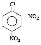 ocr_image