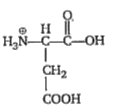 ocr_image