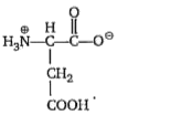 ocr_image