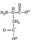 ocr_image