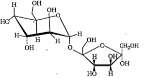 ocr_image