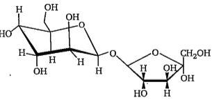 ocr_image