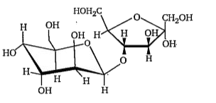 ocr_image