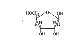 ocr_image