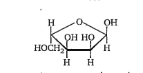 ocr_image