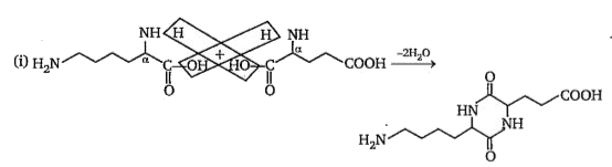 ocr_image