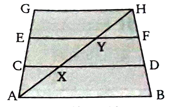 चित्र (13.62) में AB||CD||EF||GH व AX=XY=YH यदि AC=1.5 सेमी तो AG का मान ज्ञात कीजिए ।