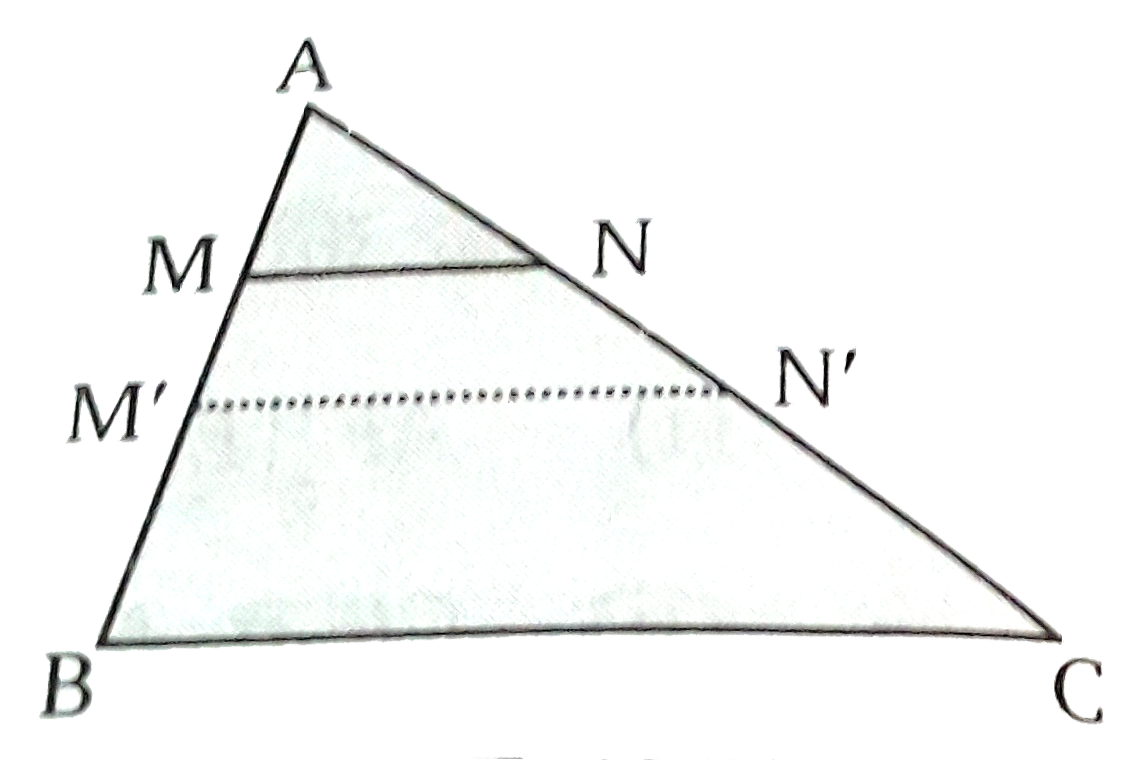 त्रिभुज ABC  में बिन्दु M व N  क्रमशः AB व AC पर बिन्दु है तथा AM=(1)/(4)AB व =(1)/(4)AC सिद्ध कीजिए की MN=(1)/(4)BC