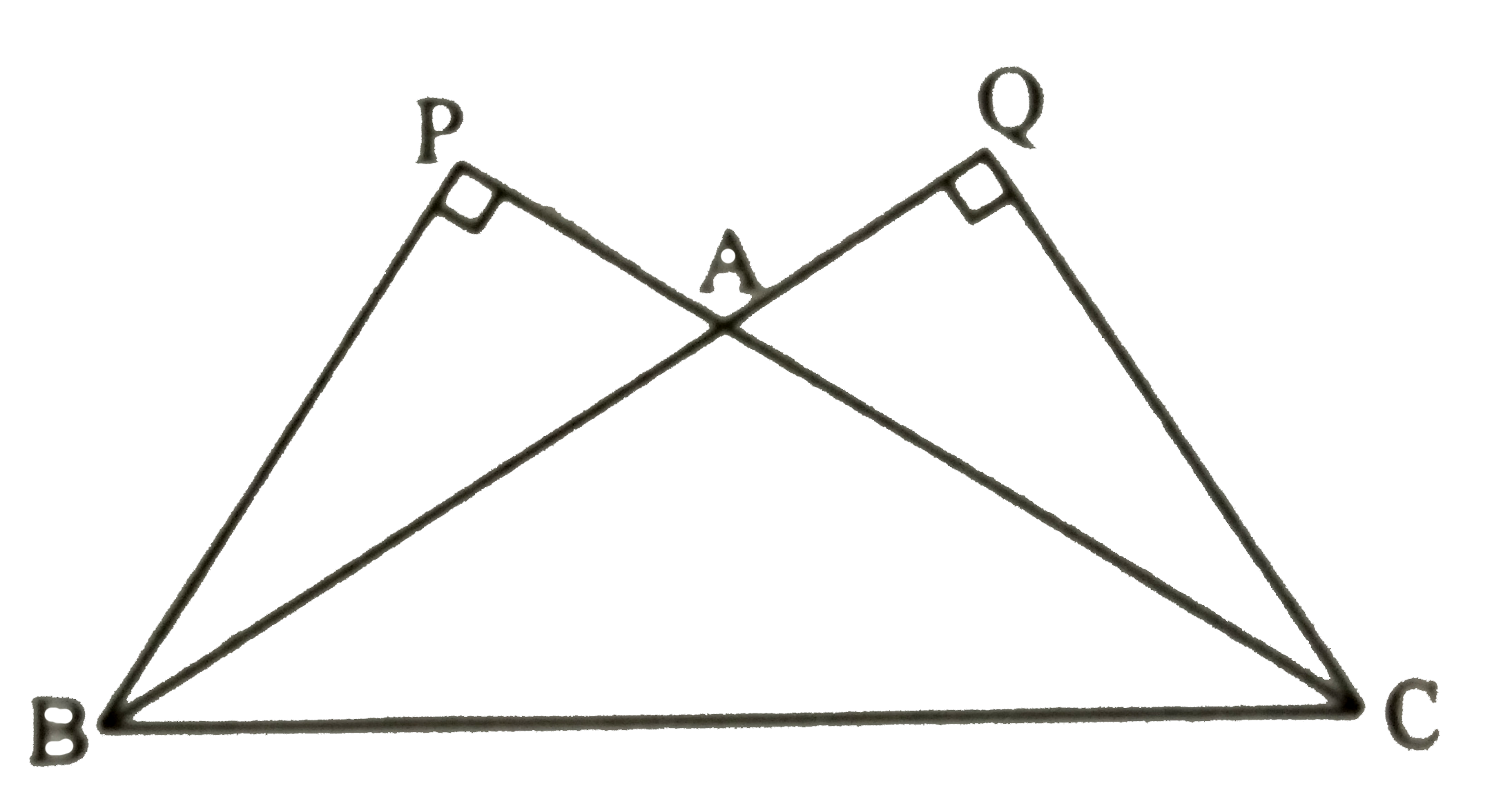 triangle ABC में angleA अधिक कोण है, BP bot AC तथा QC bot AB है तो सिद्ध कीजिए कि AB xx AQ  = AC xx AP