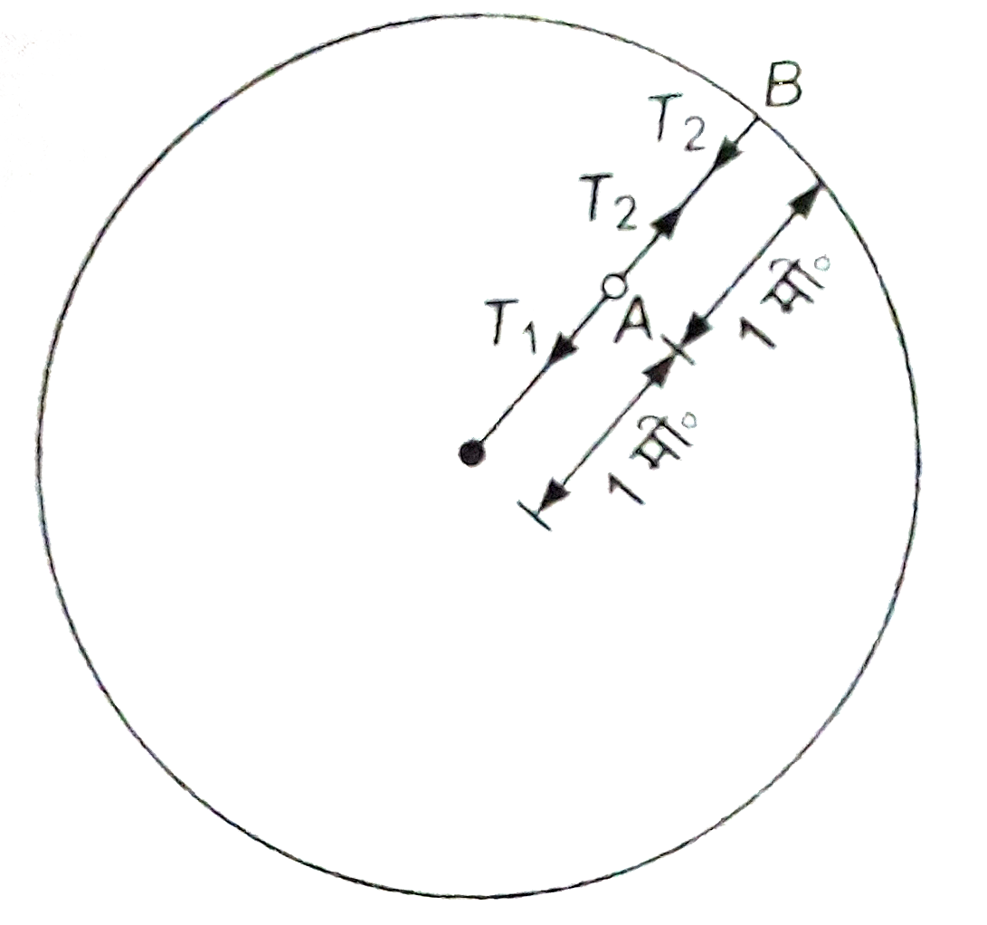 समान द्रव्यमान 1 किग्रा की दो गेंदे A तथा B को 1 -1 मीटर लम्बी डोरियों से बाँधकर संलग्न चित्रानुसार क्षैतिज वृत्त में घुमाया जाता हैं ( g का प्रभाव नगण्य हैं ) । गेंद B की रेखीय चाल 4 मीटर/सेकण्ड हैं । ज्ञात कीजिये -   (a) दोनों डोरियों में तनाव ।   (b) दोनों गेंदों को अधिकाधिक तेज घुमाने पर कौन - सी डोरी पहले टूटेगी यदि दोनों डोरियाँ समान हैं ?   (c) यदि प्रत्येक डोरी अधिकतम 27 न्यूटम तनाव वहन कर सकती हैं तो दोनों गेंदों का अधिकतम सम्भव रेखीय वेग क्या हैं ?