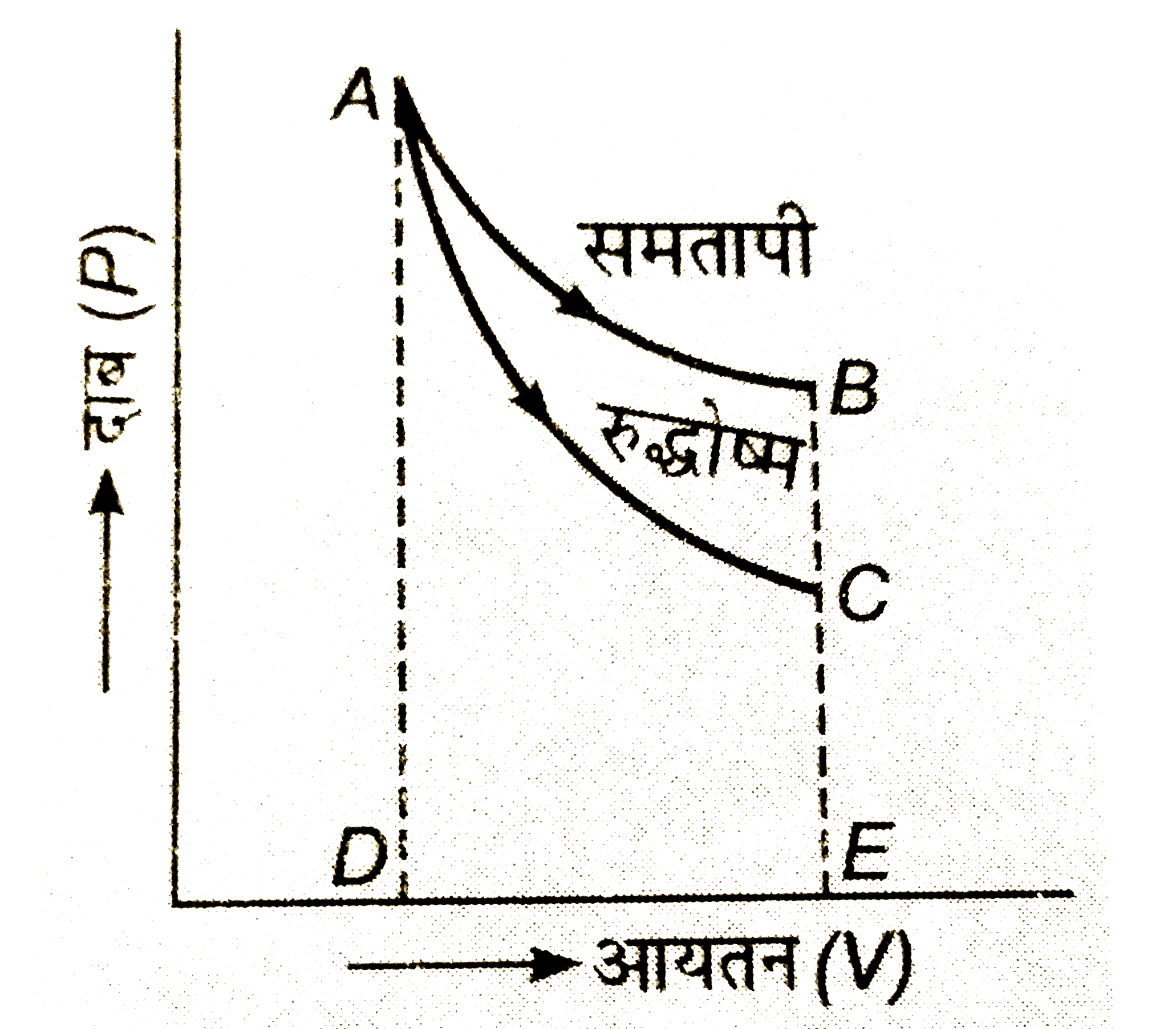 आदर्श गैस के लिये दो P-V  व्रक AB तथा AC दिये गये हैं जिनमें एक समतापी तथा दूसरा रुद्धोष्म परिवर्तन का है|   (A)  कौन-सा व्रक रुद्धोष्म तथा कौन-सा समतापी परिवर्तन को प्रदर्शित करता है और क्यों ?   (B) AtoC परिवर्तन में -(i)  गैस द्वारा कृत कार्य, (ii) गैस द्वारा ली गयी ऊष्मा, (iii) गैस की आन्तरिक ऊर्जा में परिवर्तन क्या होगा ?   (C) AtoB परिवर्तन में - (i)  गैस द्वारा कृत कार्य, (ii) गैस की आन्तरिक ऊर्जा में परिवर्तन, (iii)  गैस द्वारा ली गयी ऊष्मा क्या है?