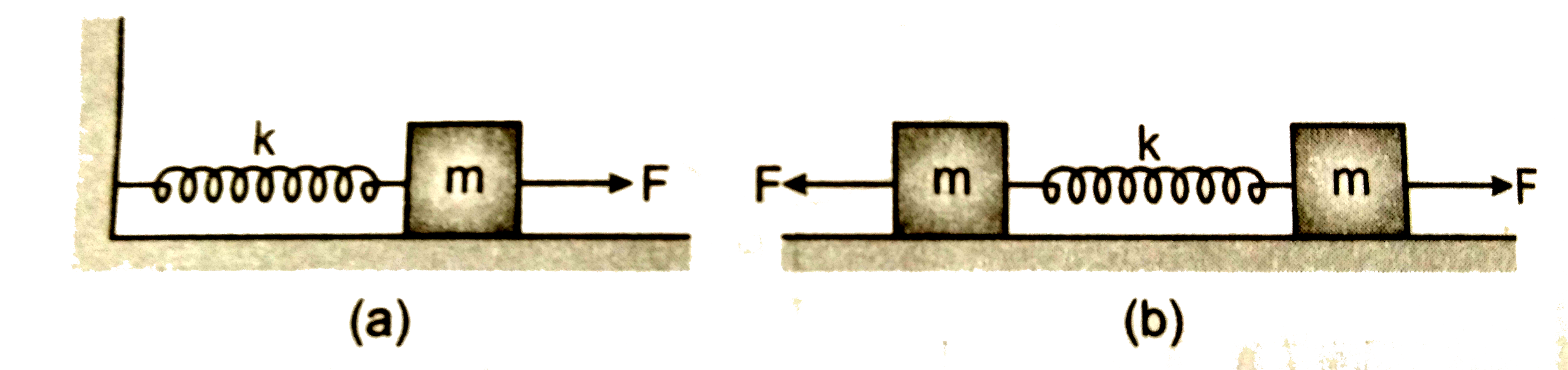 चित्र(a ) में k बल - स्थिरांक कि किसी कमानी के एक सिरे को किसी दृढ़ आधार से जकड़ा तथा  दूसरे मुक्त सिरे से एक द्रव्यमान m जुड़ा दर्शाया गया है । कमानी के मुक्त सिरे पर बल F  आरोपित करने से कमानी तन जाती है । चित्र ( b) में उसी कमानी के दोनों मुक्त सिरों से द्रव्यमान m जुड़ा दर्शाया गया है कमानी के दोनों सिरों  को चित्र  में समान  बल F  द्वारा तनित किया गया है ।          (i) दोनों प्रकरणों में कमानी का अधिकतम विस्तार क्या है ?     ( ii) यदि (a ) का द्रव्यमान तथा (b ) के दोनों द्रव्यमानो को मुक्त छोड़ दिया जाता , तो प्रत्येक प्रकरण में दोलन का आवर्तकाल ज्ञात कीजिए।