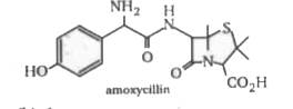 How many double bond equivalents does amoxycillin (shown below) possess ?