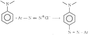 Above (C-N) coupling reaction take place at: